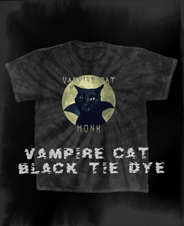 About the Monk Vampire Cat campaign on Bonfire 3