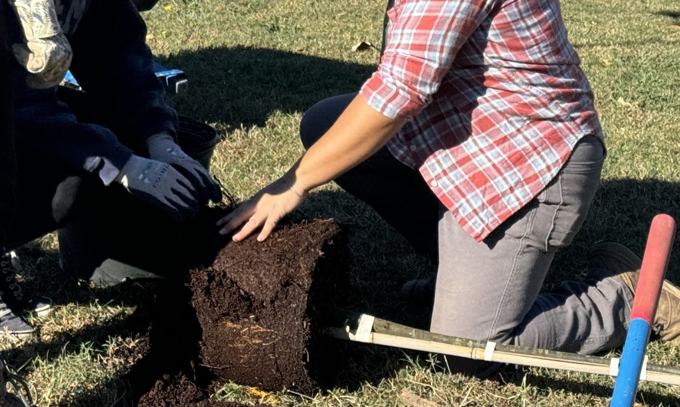 About the The Future Needs More Trees - LT Green campaign on Bonfire 3