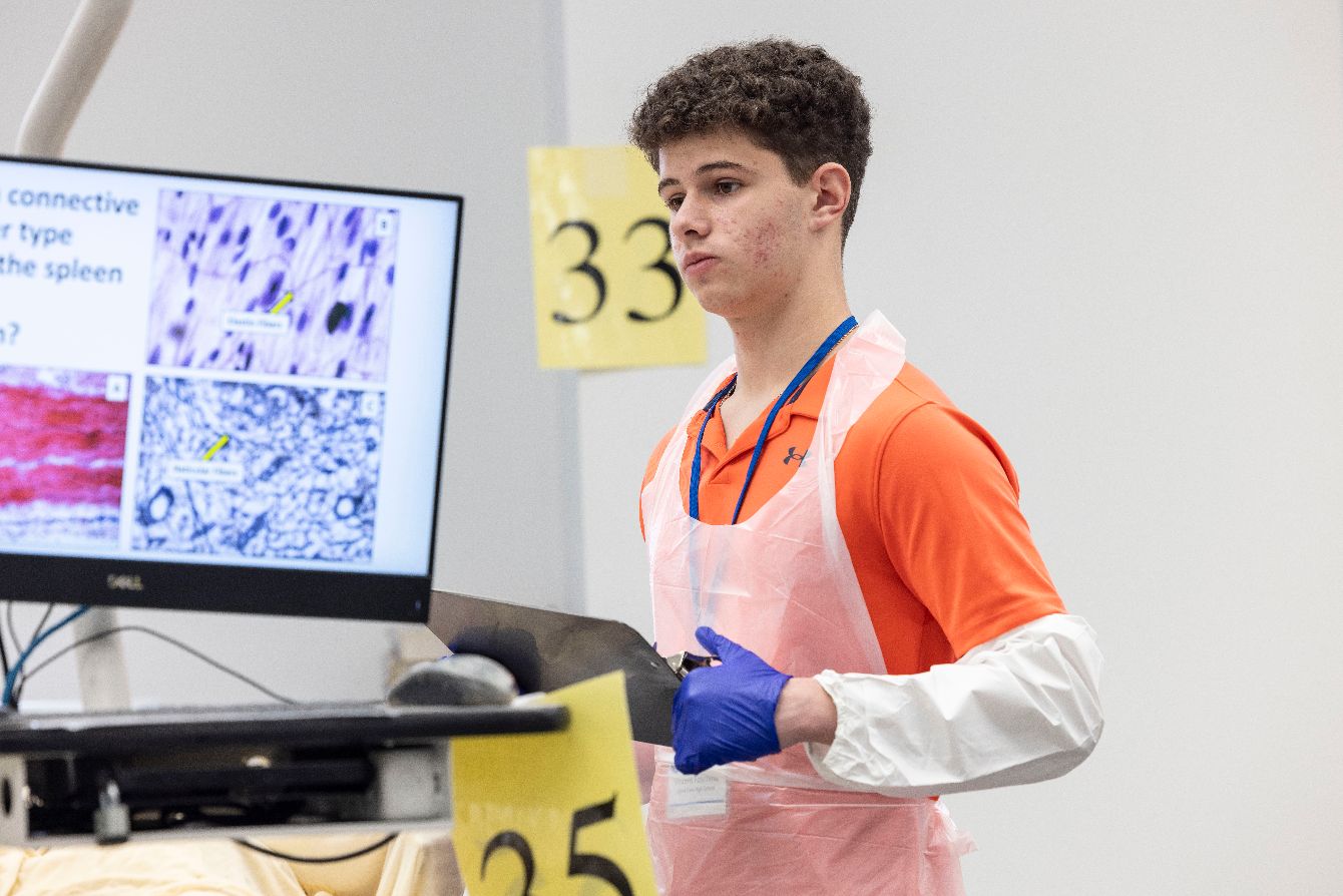 About the  campaign on Bonfire 2