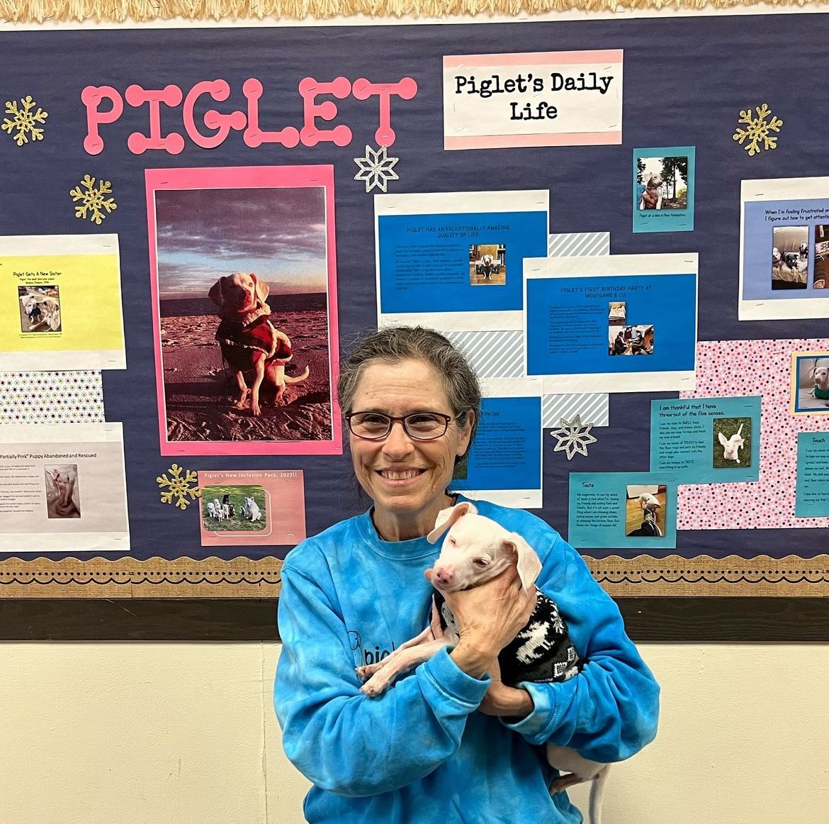 About the PIGLET MINDSET College T-Shirt Fundraiser campaign on Bonfire 3