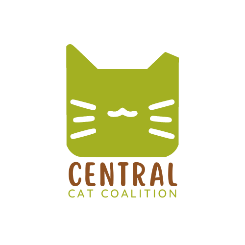 About the Central Cat Coalition Logo campaign on Bonfire 2