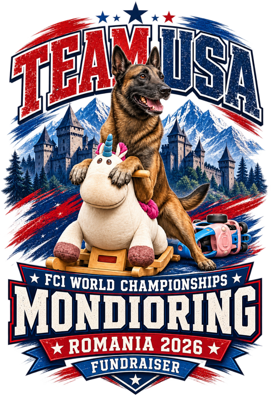 About the Team USA Fundraiser! campaign on Bonfire 2