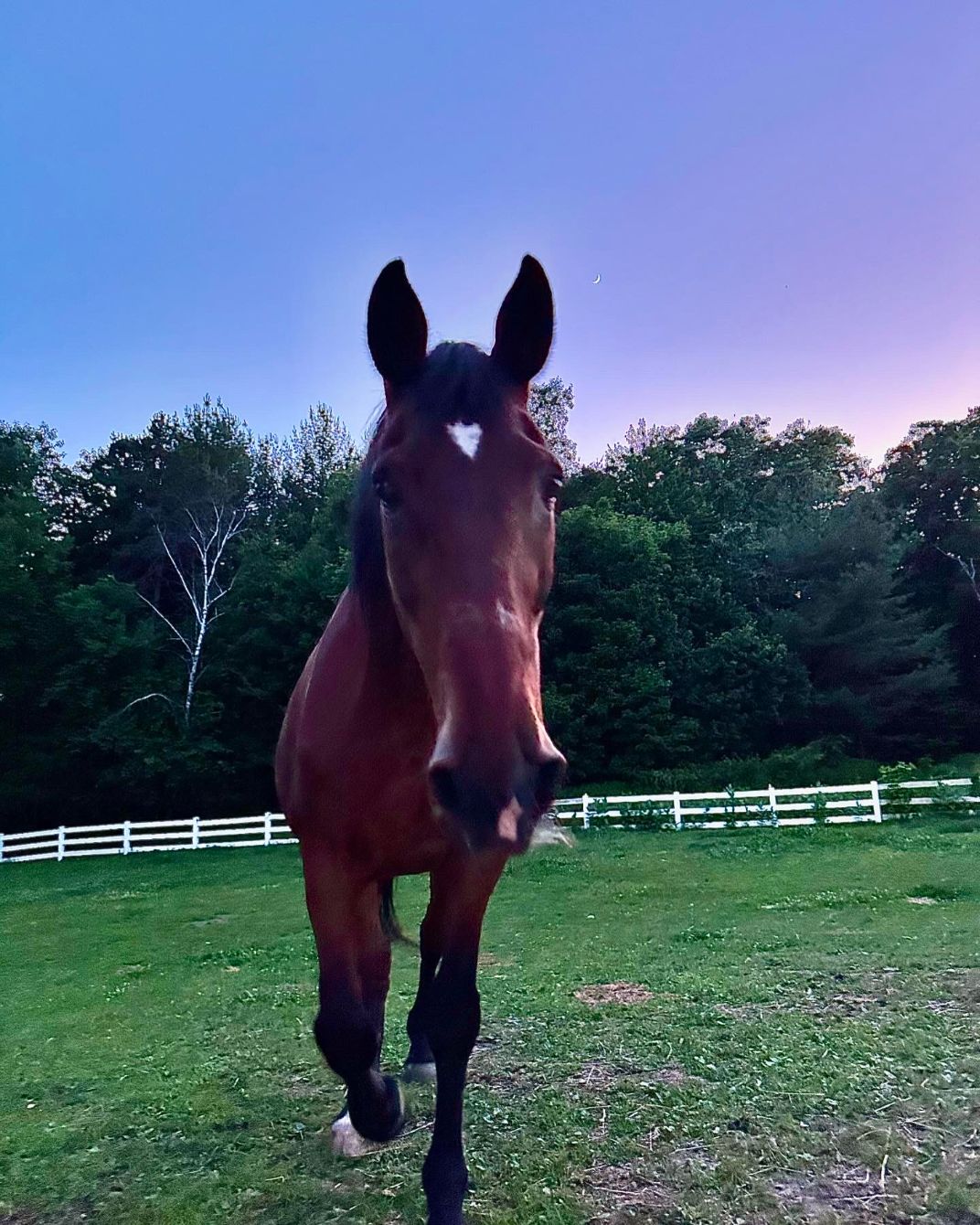 About the  campaign on Bonfire 10