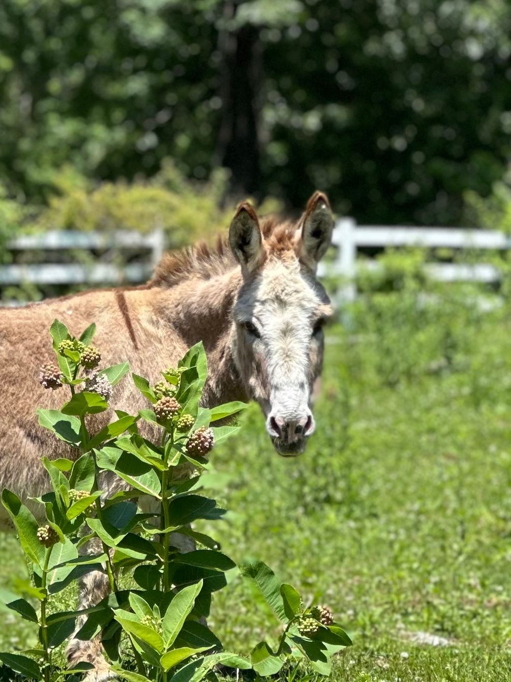 About the  campaign on Bonfire 12