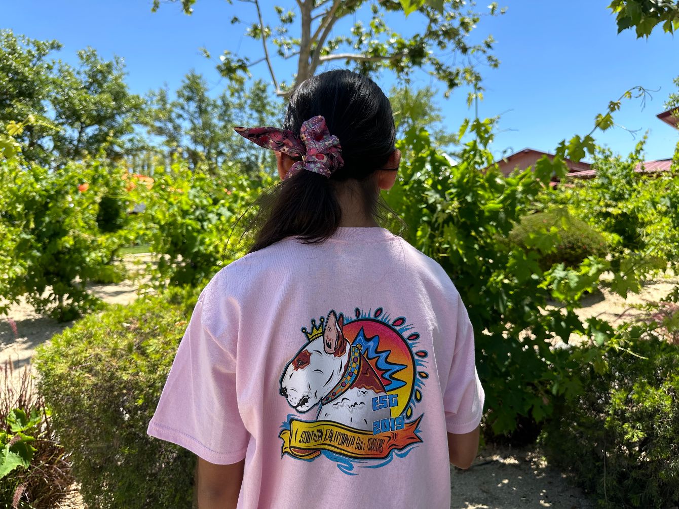 About the SoCal_Bullterriers Apparel campaign on Bonfire 2