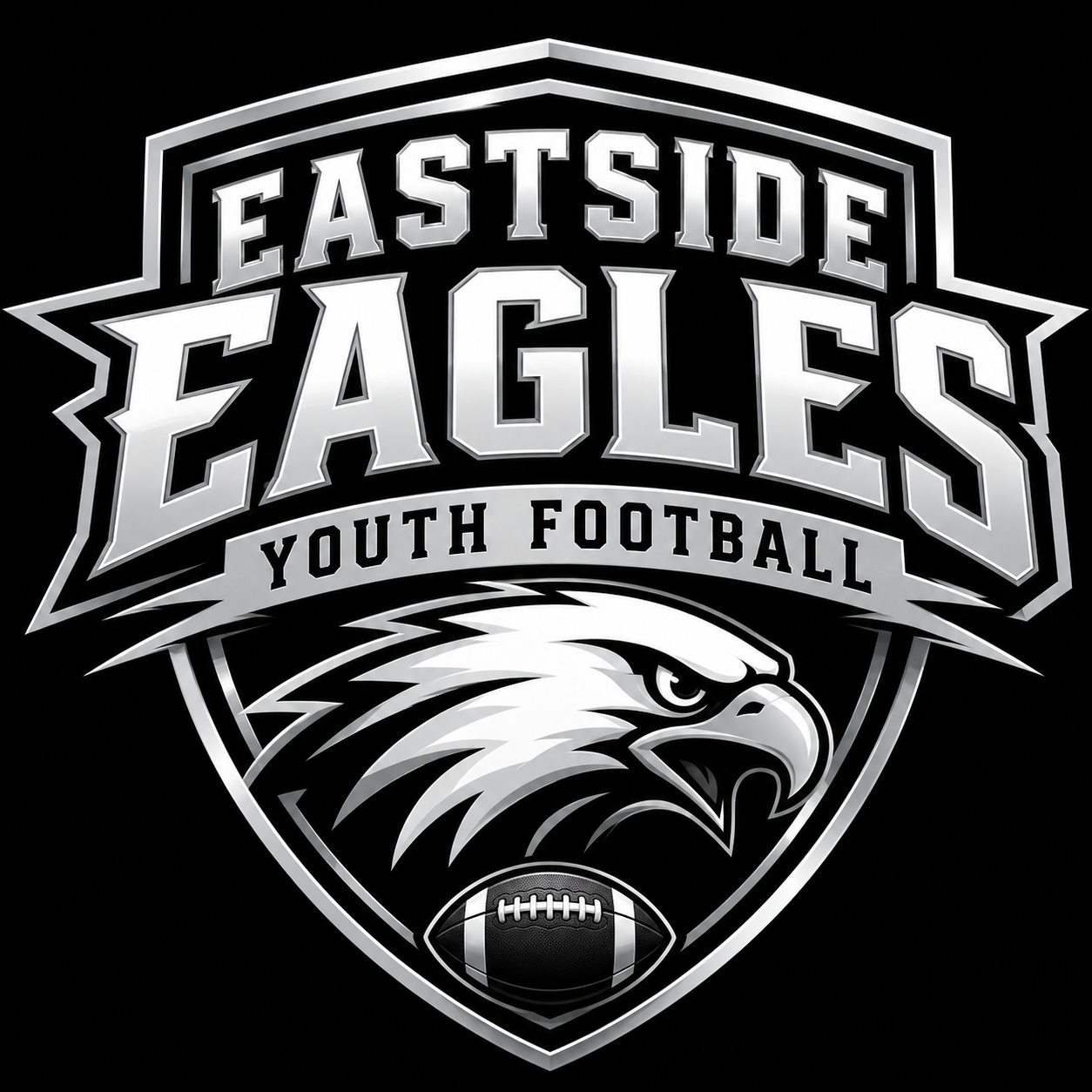 About the EASTSIDE EAGLES YOUTH FOOTBALL campaign on Bonfire 2