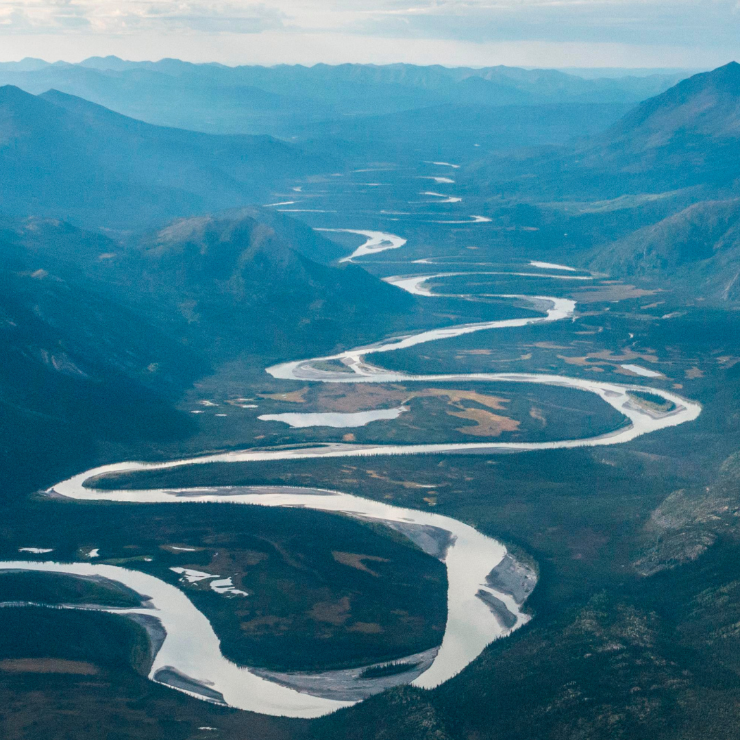 About the No Ambler Road campaign on Bonfire 2