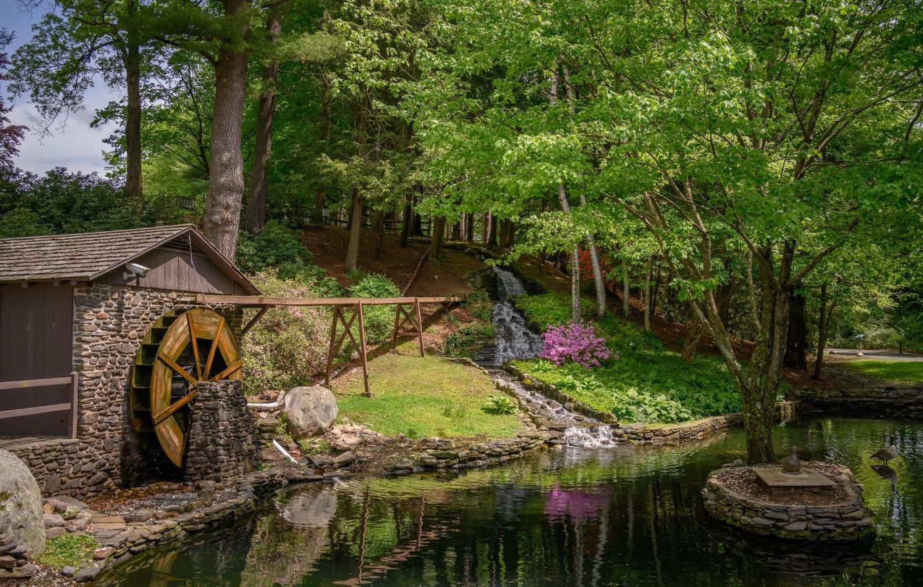 About the  campaign on Bonfire 3