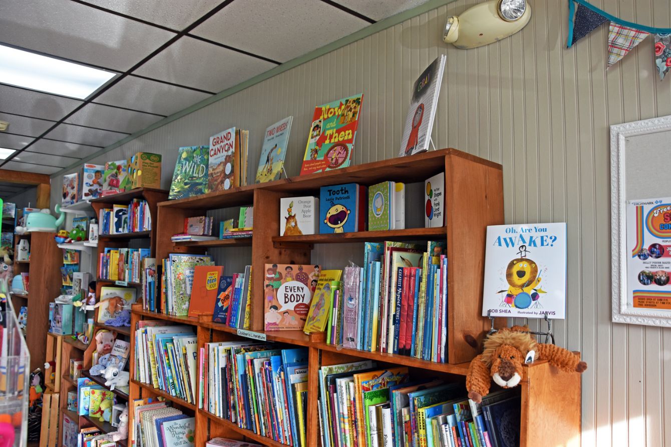 About the  campaign on Bonfire 3