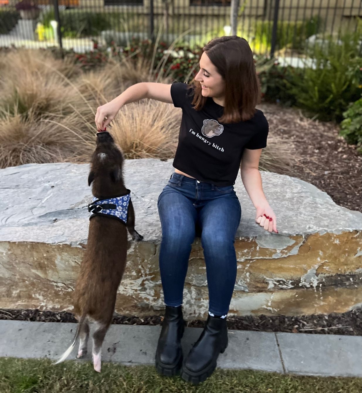 About the Merlin The Pig Merch! campaign on Bonfire 3