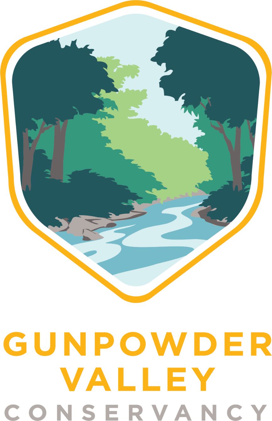 About the GVC Gear campaign on Bonfire 4