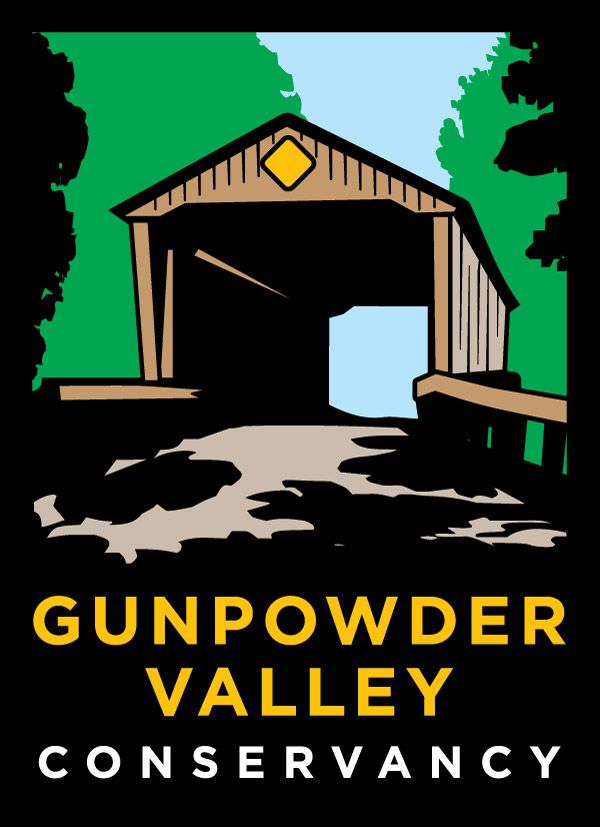 About the GVC Gear campaign on Bonfire 3