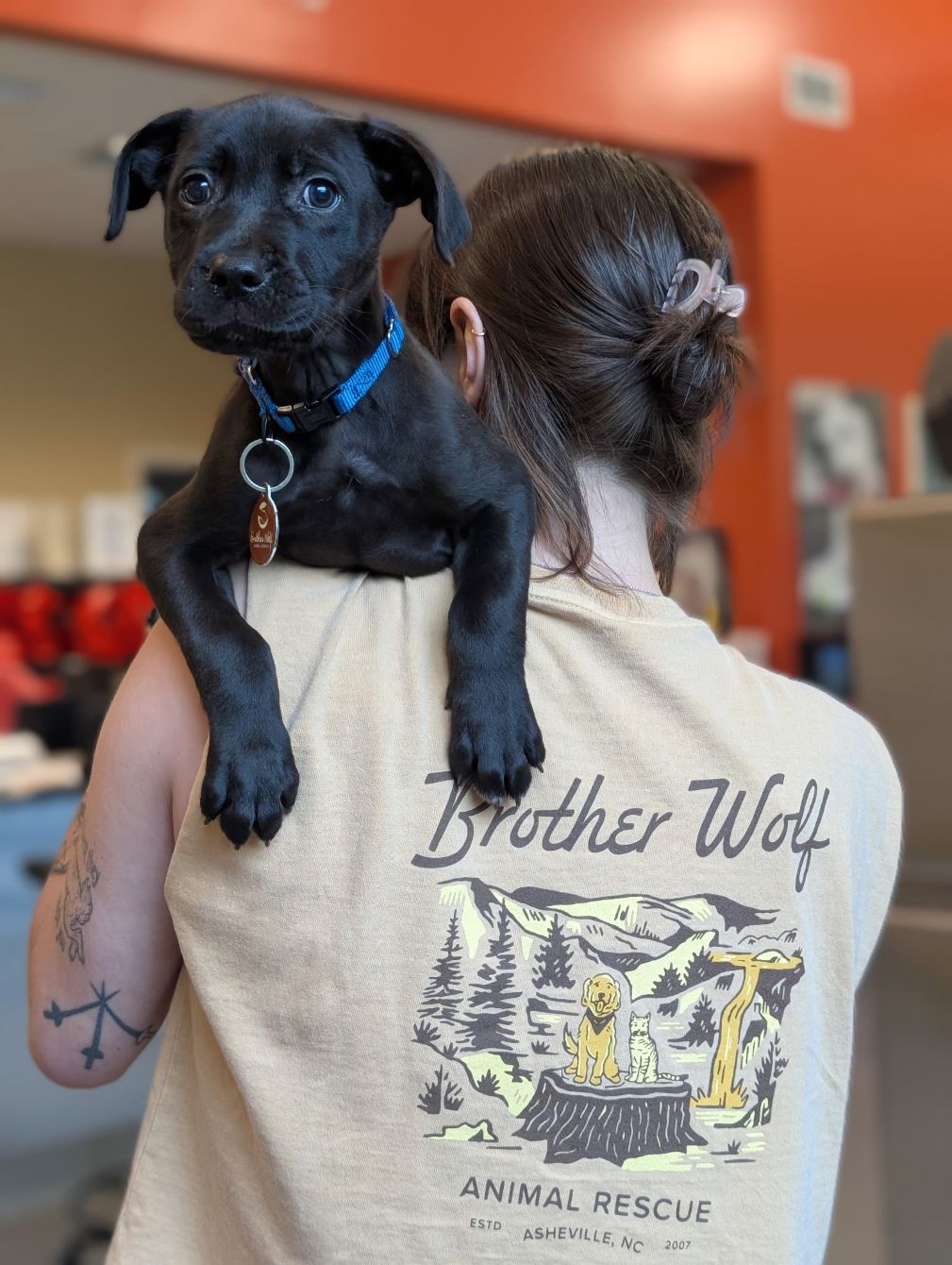 About the Brother Wolf Animal Rescue Hike Scene Tote!&nbsp; campaign on Bonfire 2