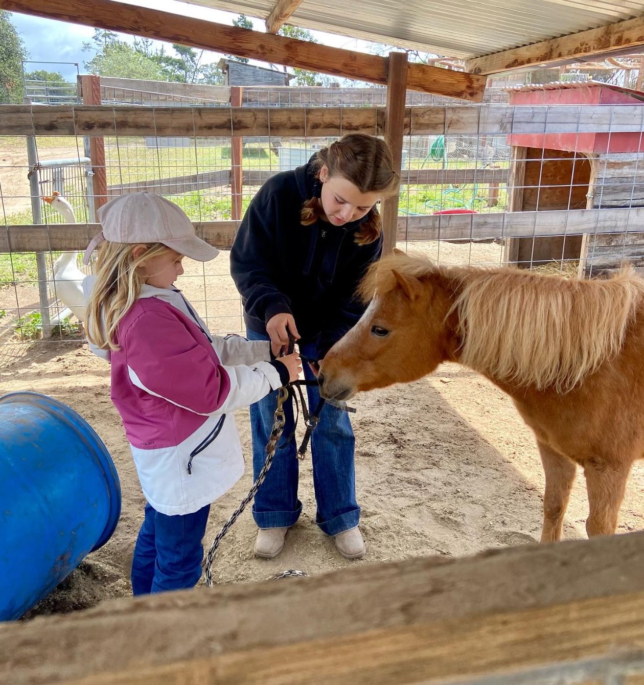 About the  campaign on Bonfire 2