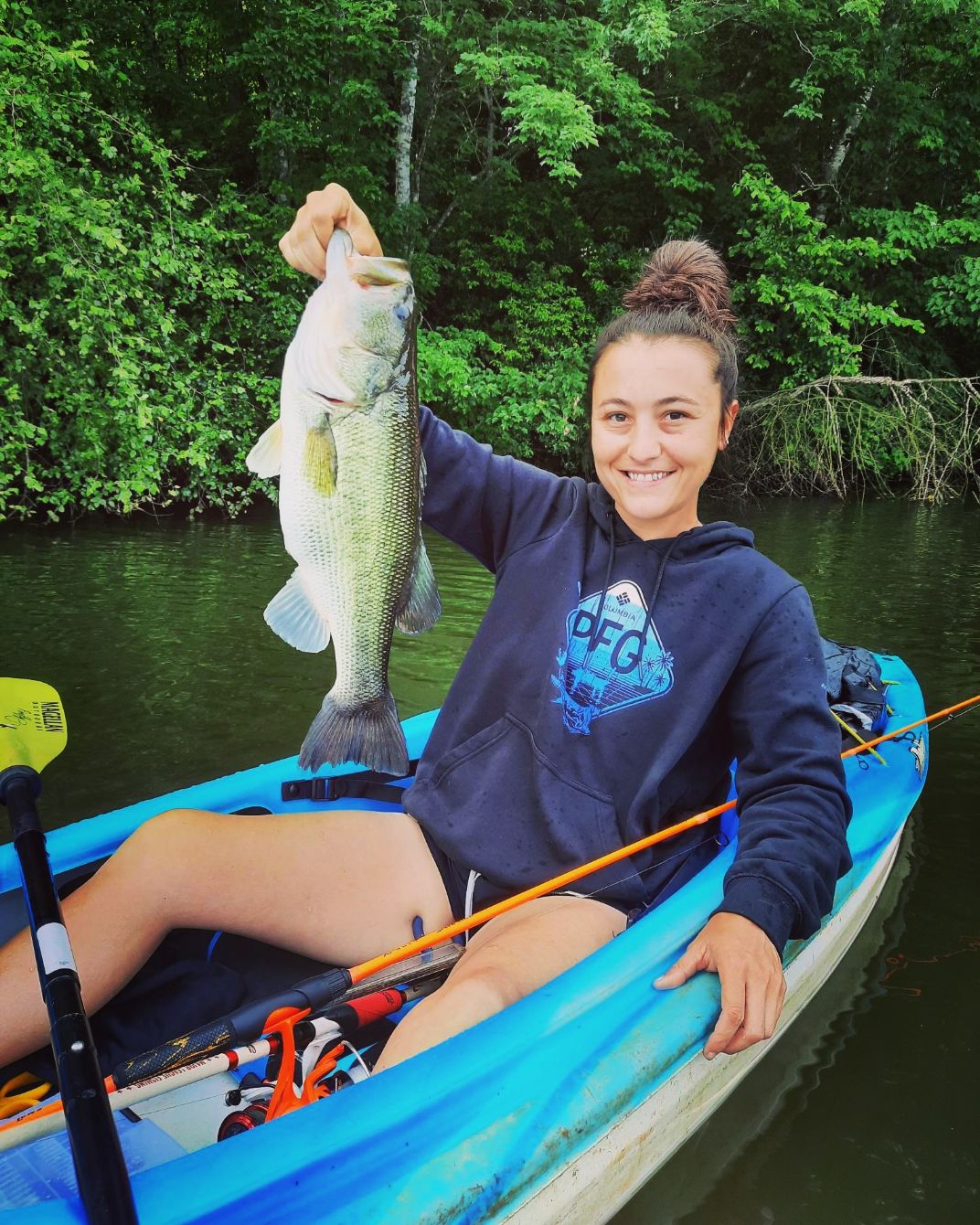 About the  campaign on Bonfire 2