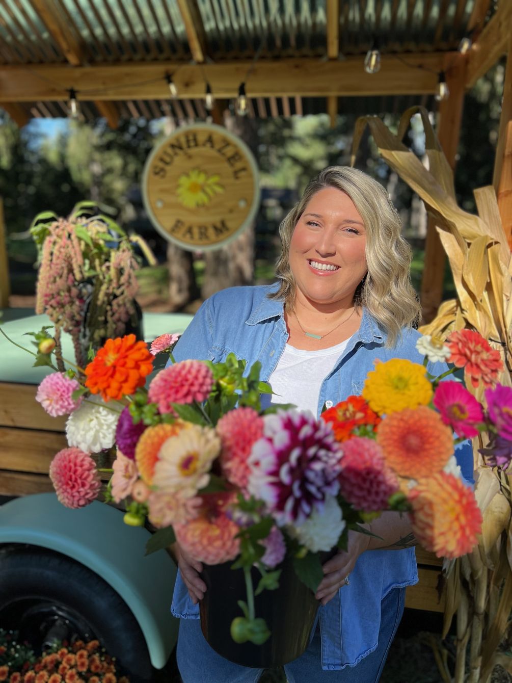 About the  campaign on Bonfire 2