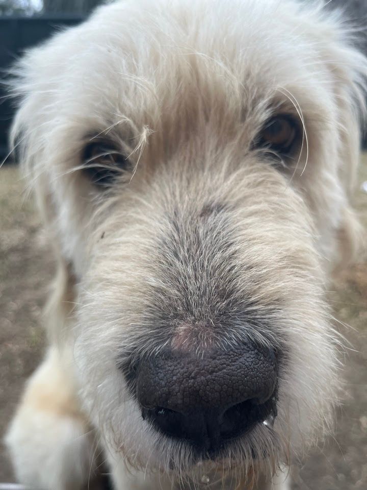 About the TGPR St Pat's Fundraiser campaign on Bonfire 6