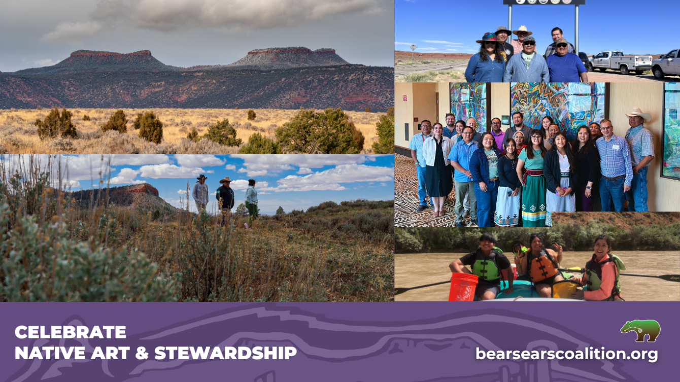 About the Protect Bears Ears campaign on Bonfire 1