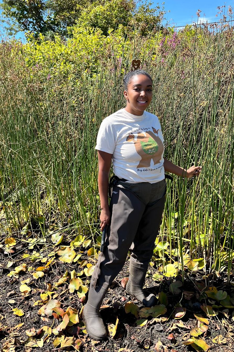 About the Semillas campaign on Bonfire 2