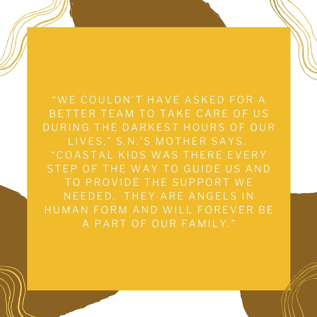 About the A Message from S.N. campaign on Bonfire 3