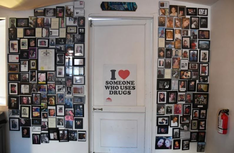 About the The War on Drugs is Out. Harm Reduction is in. campaign on Bonfire 2
