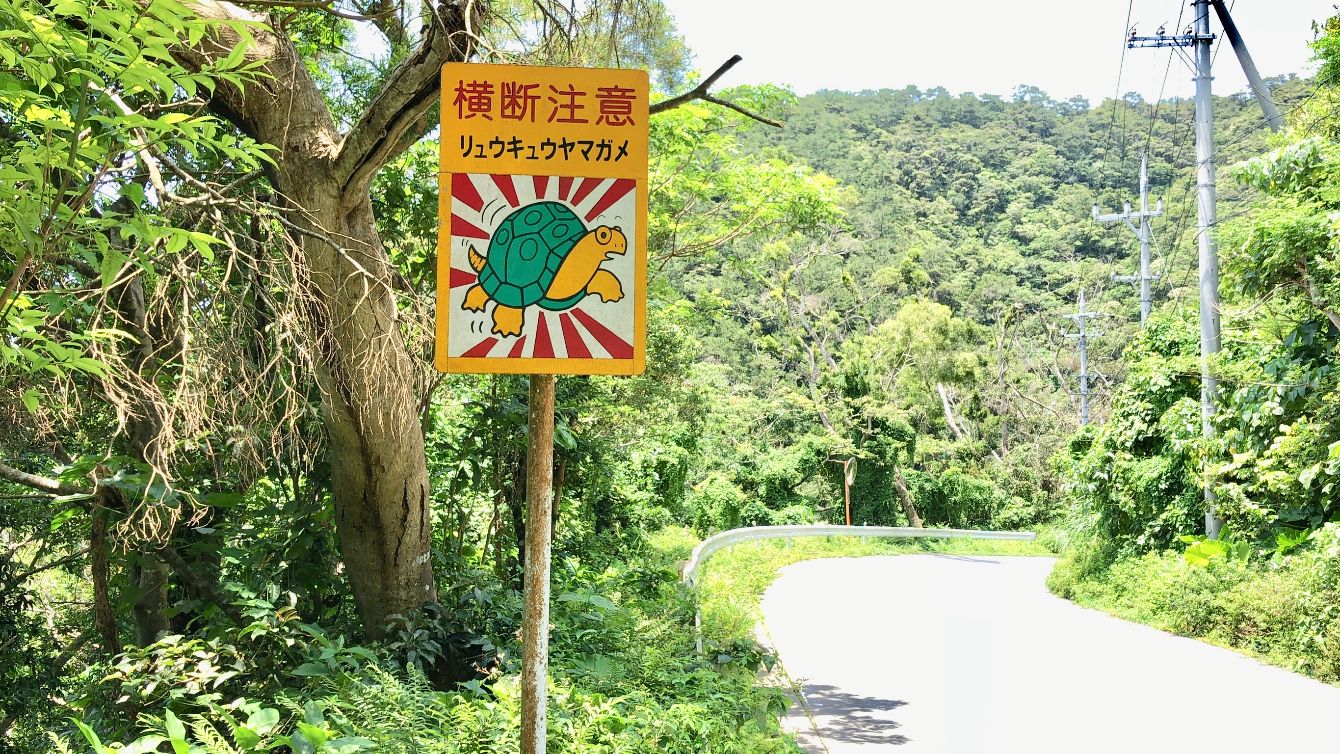 About the Japanese Turtle Crossing Sign campaign on Bonfire 2