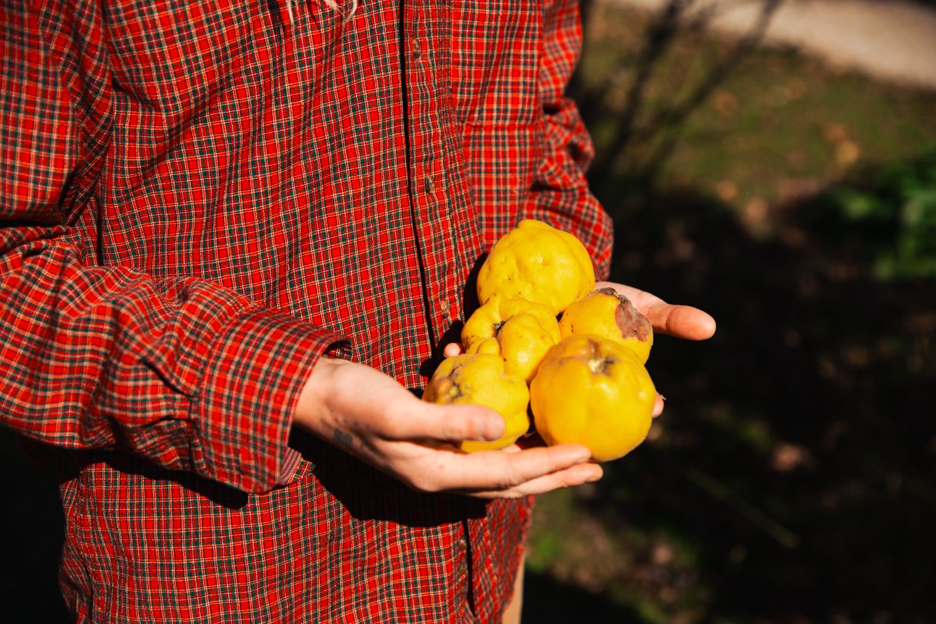 About the  campaign on Bonfire 1