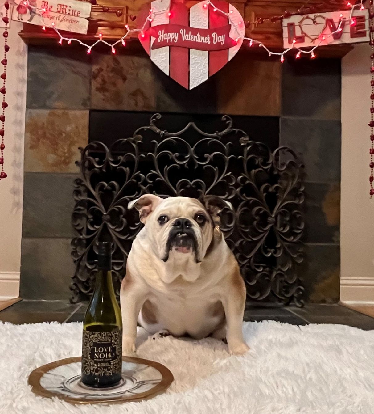 About the May all the Bulldogs BE MINE fundraiser campaign on Bonfire 2