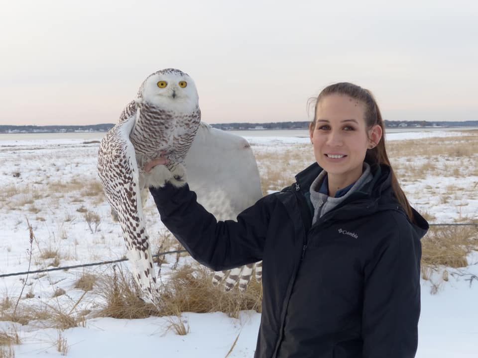 About the Raptor Tales Rescue campaign on Bonfire 2