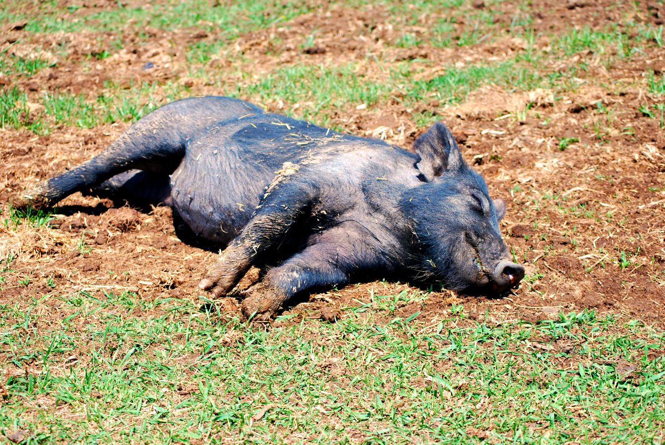 About the LET'S BE FRIENDS!&nbsp; campaign on Bonfire 2