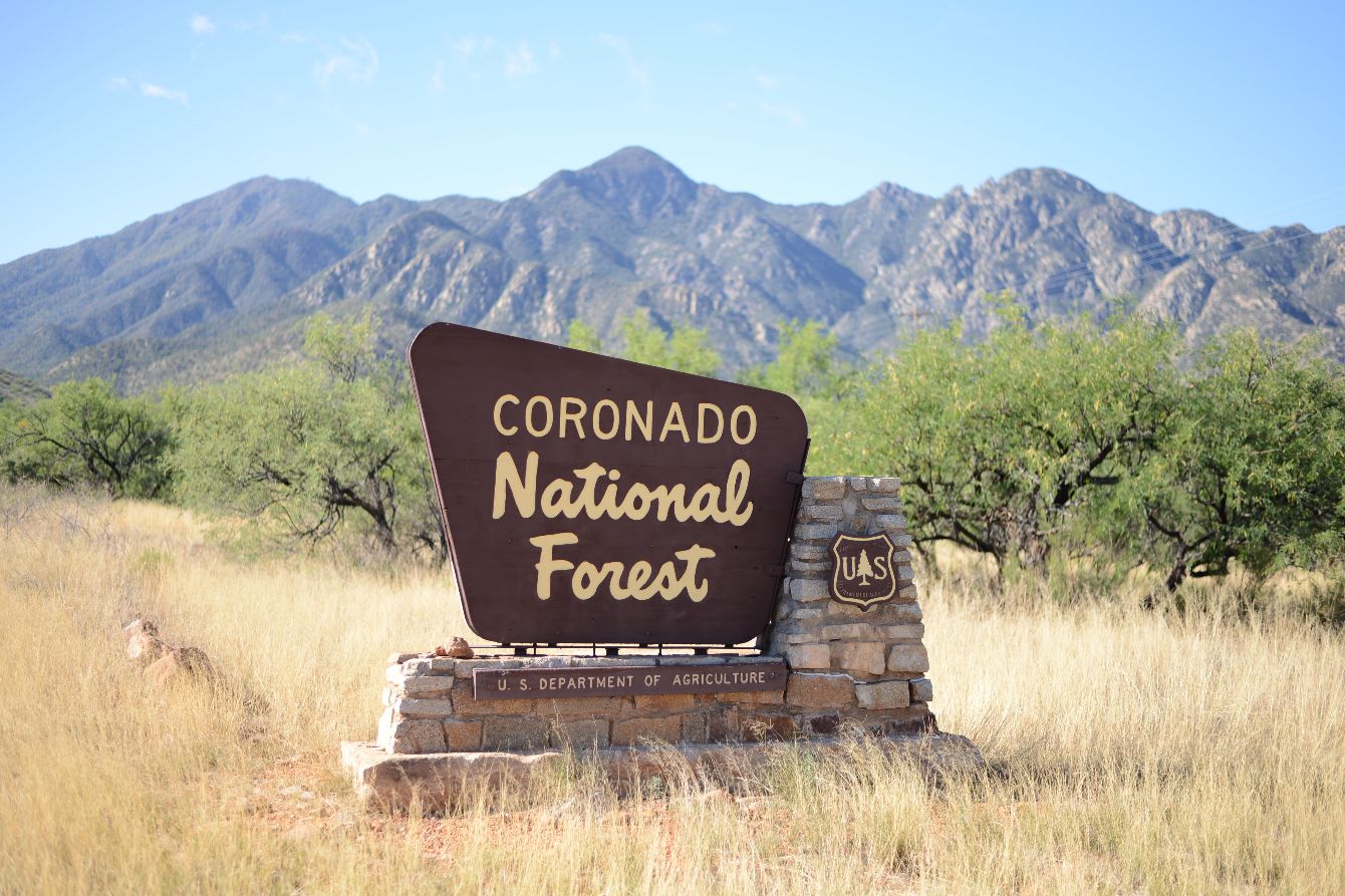 About the Friends of Madera Canyon campaign on Bonfire 2