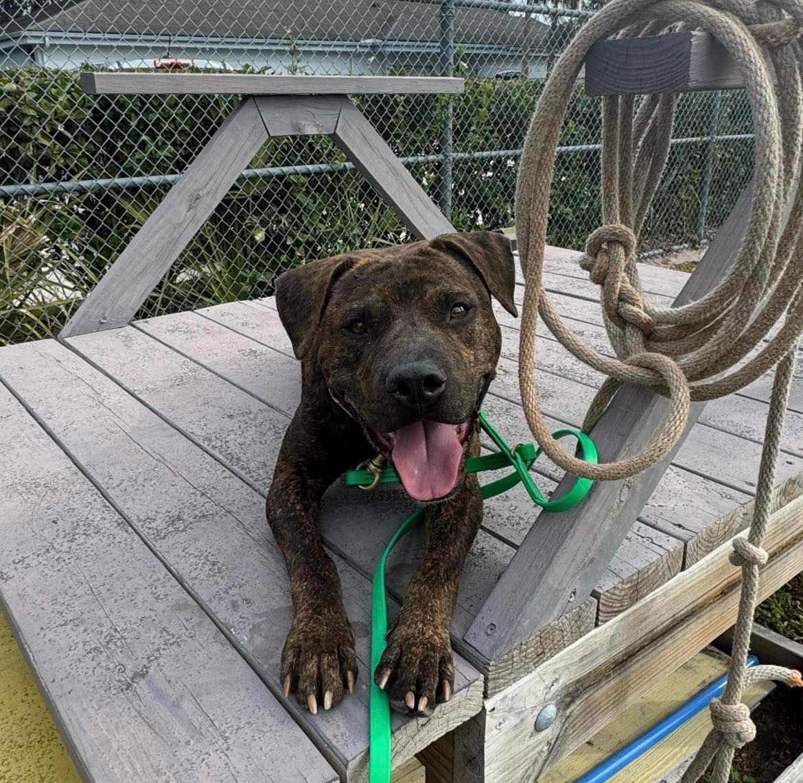 About the  campaign on Bonfire 3