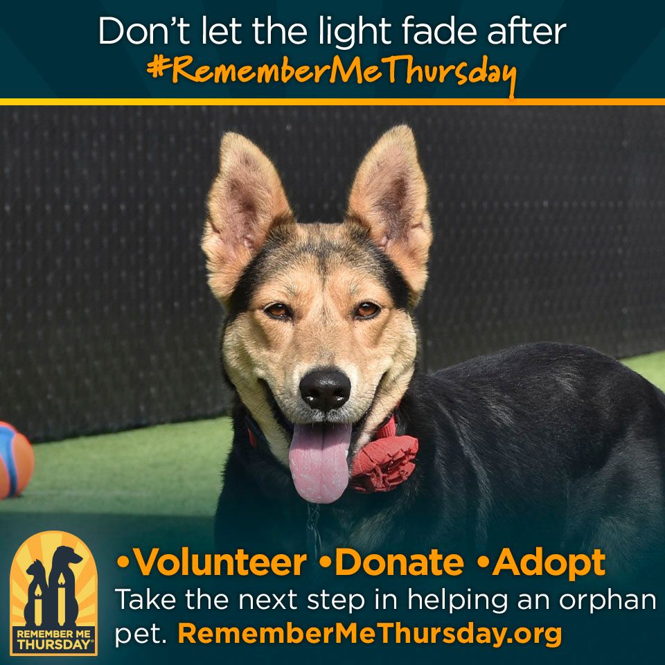 About the Remember Me Thursday? campaign on Bonfire 2