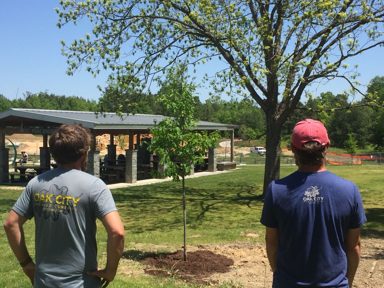 About the Help Us Plant Trees! campaign on Bonfire 4