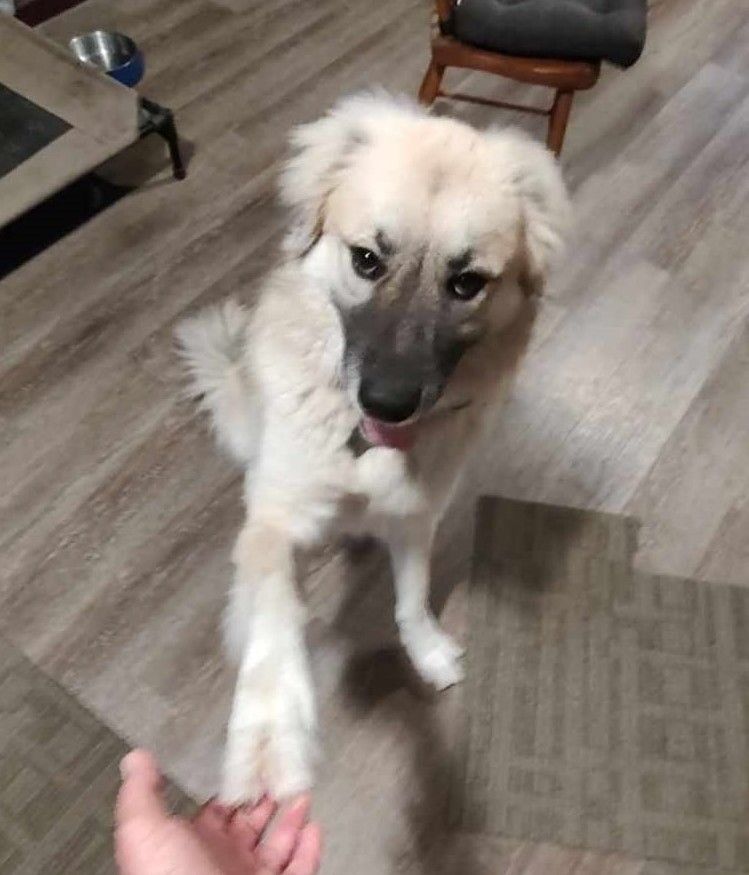 About the TGPR '23 Holiday Fundraiser! campaign on Bonfire 3