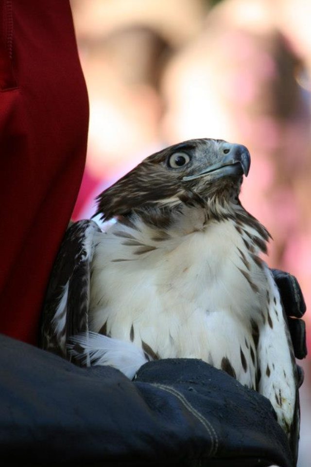 About the NWBR Soft Tee campaign on Bonfire 2