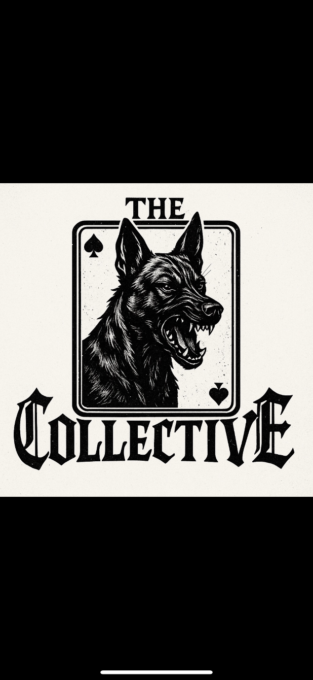 About the  campaign on Bonfire 2