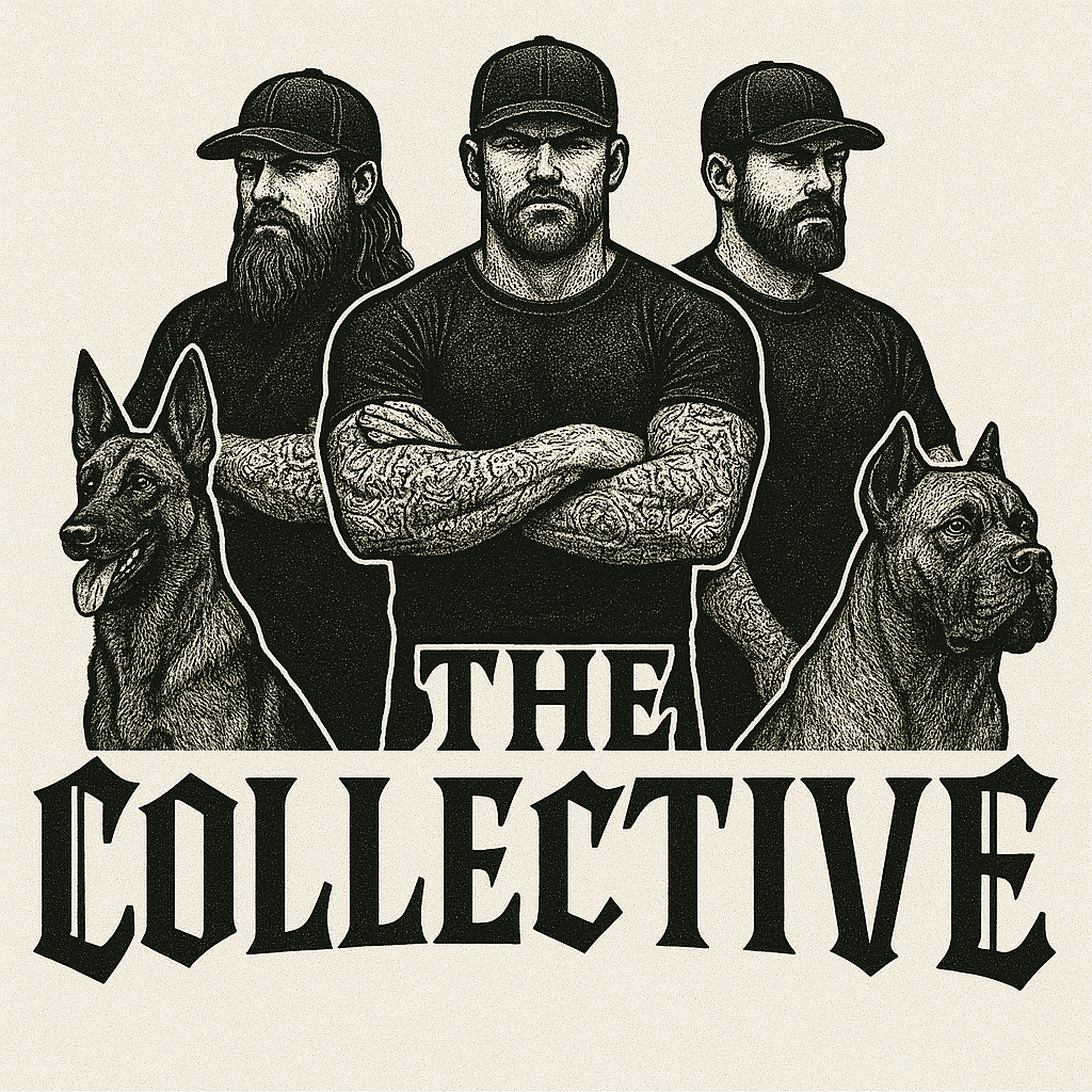 About the  campaign on Bonfire 7