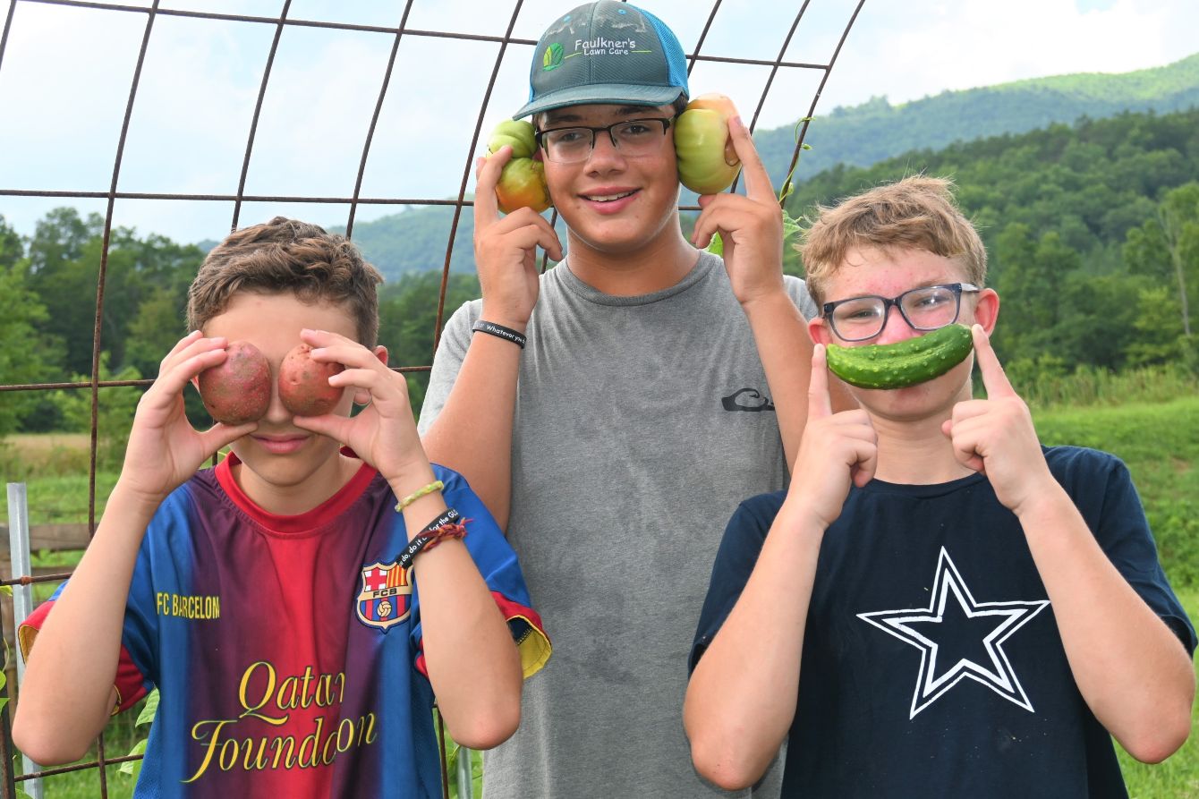 About the SNAILED IT. campaign on Bonfire 2