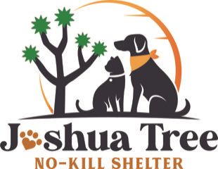 About the Full Color Logo Tee campaign on Bonfire 2