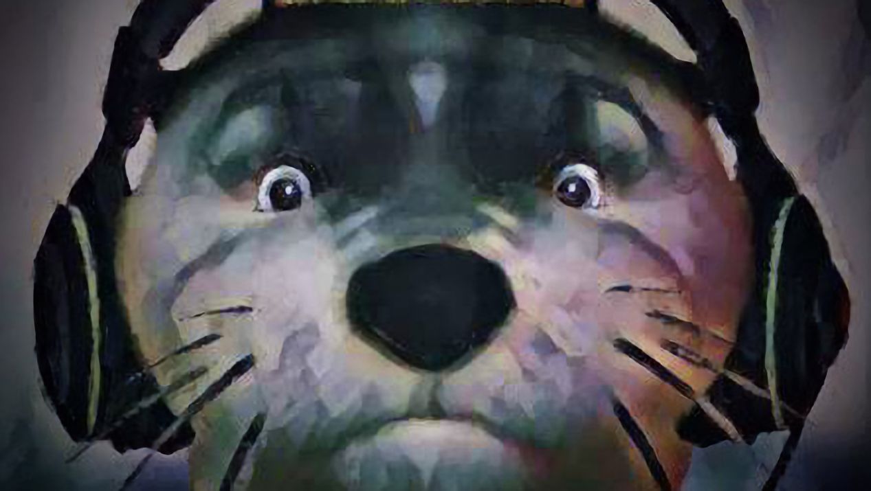 About the  campaign on Bonfire 2