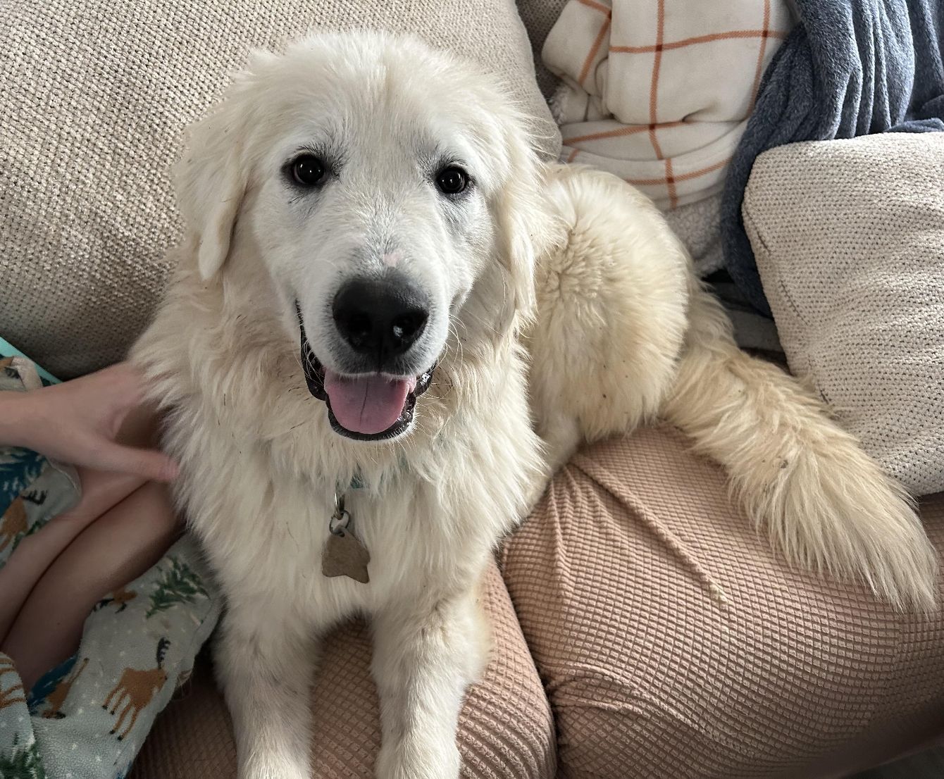 About the TGPR '24 Summer T Fundraiser! campaign on Bonfire 4