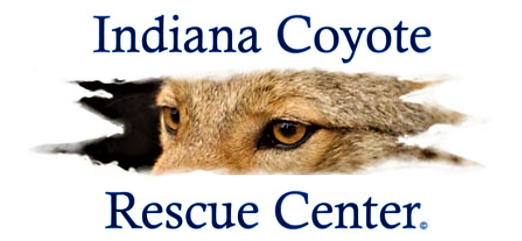 About the Indiana Coyote Rescue Center&nbsp; campaign on Bonfire 1