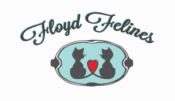 About the Empty the Cages - Floyd Felines campaign on Bonfire 2