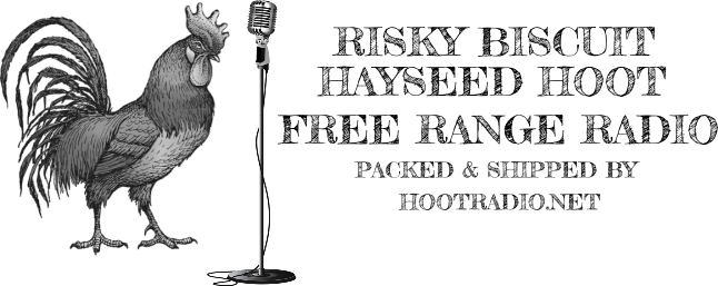 About the  campaign on Bonfire 2