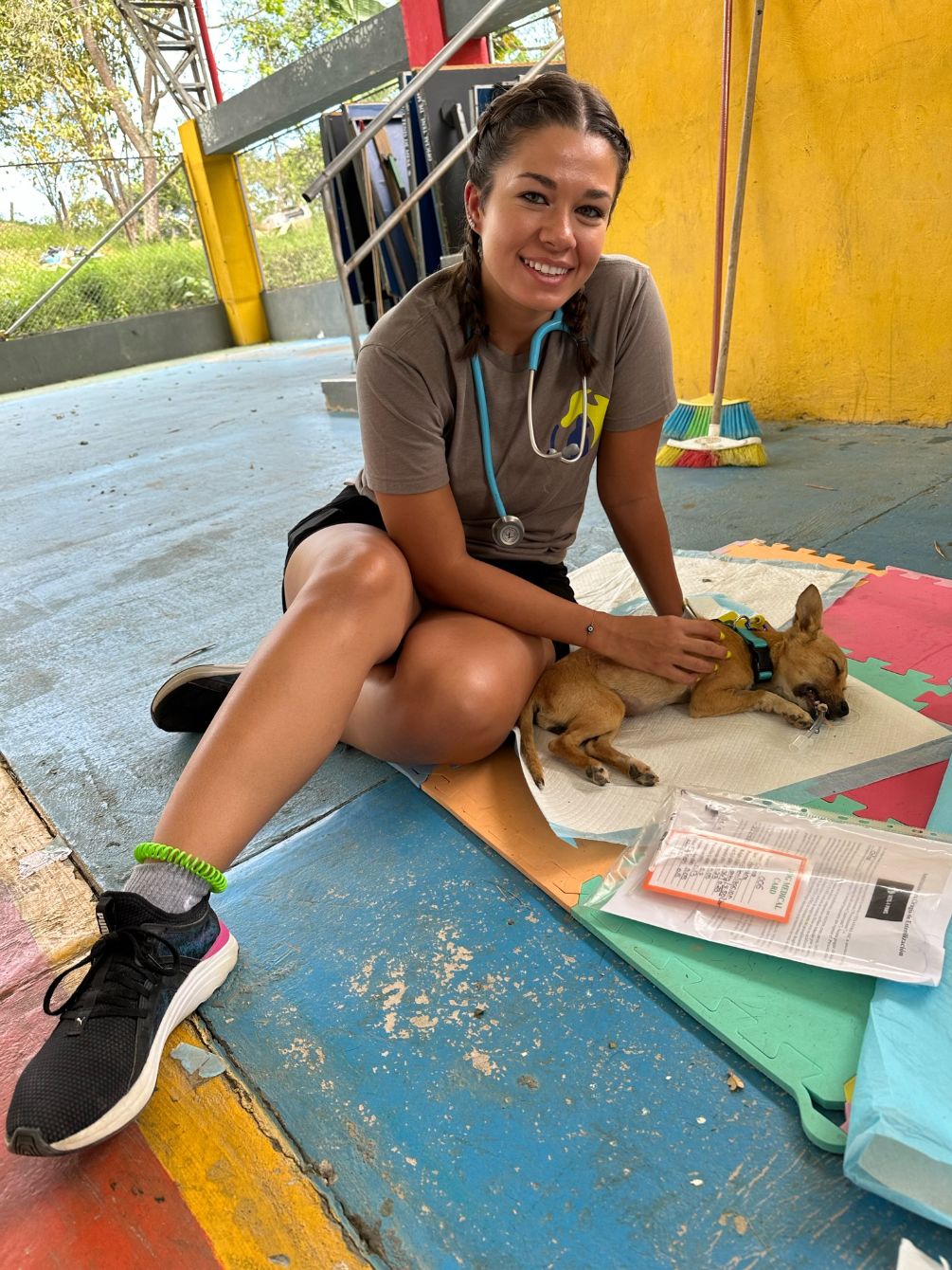 About the Vets 4 Paws Fundraising&nbsp; campaign on Bonfire 3