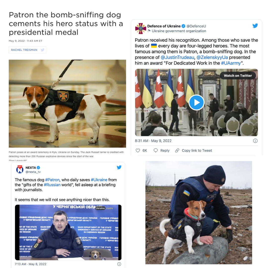 About the Ukraine Animal Fundraiser Shirt campaign on Bonfire 3