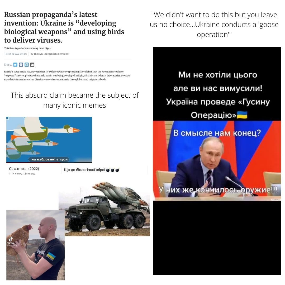 About the Ukraine Animal Fundraiser Shirt campaign on Bonfire 8