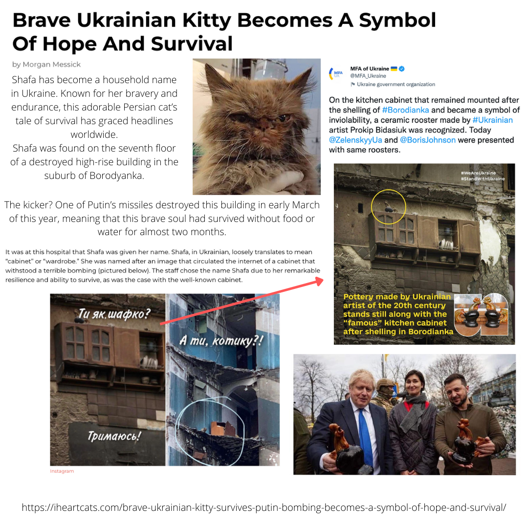 About the Ukraine Animal Fundraiser Shirt campaign on Bonfire 4