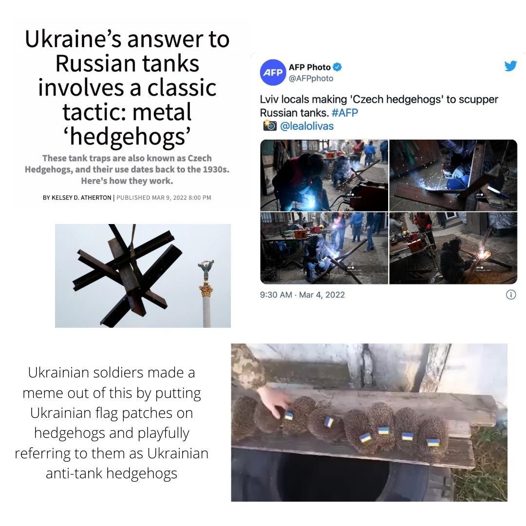 About the Ukraine Animal Fundraiser Shirt campaign on Bonfire 6